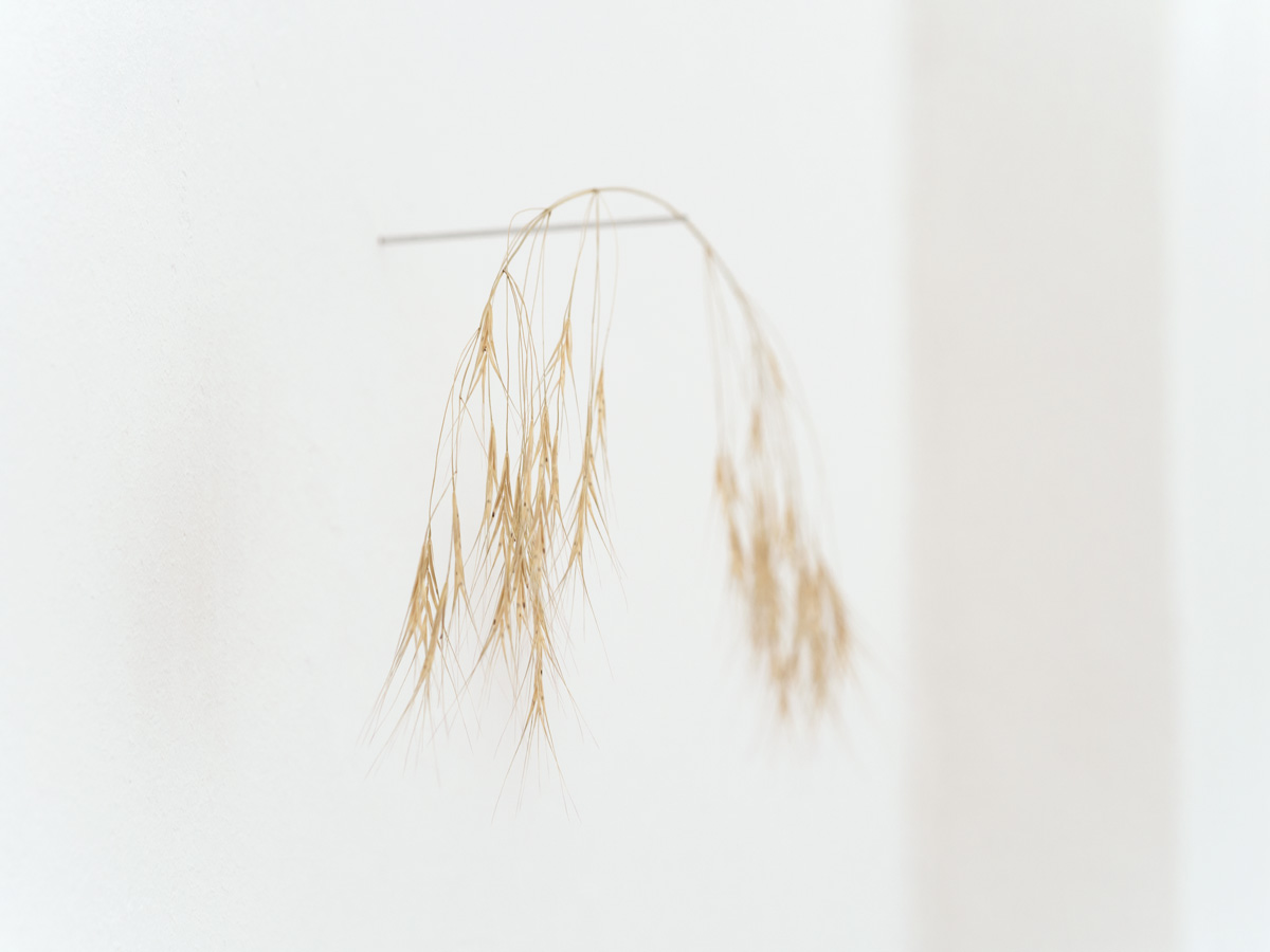 Anja Asche – Balance, bewegliches Wand-Objekt, kinetisches object, art