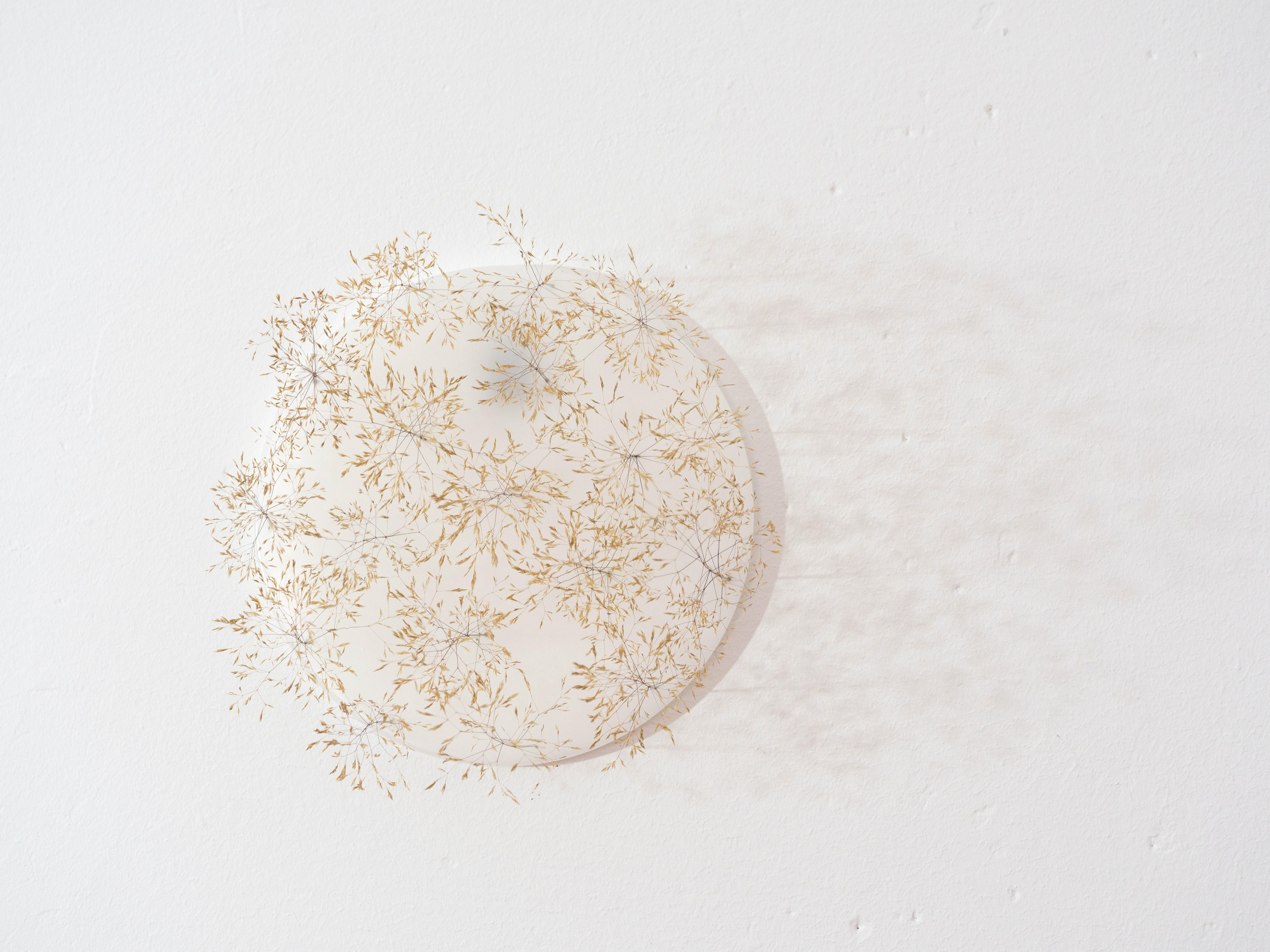 ANJA ASCHE – Erinnerung No.3 – No. 5. Objektart, wallobjects, sculpture, wax, grasses, leaves.