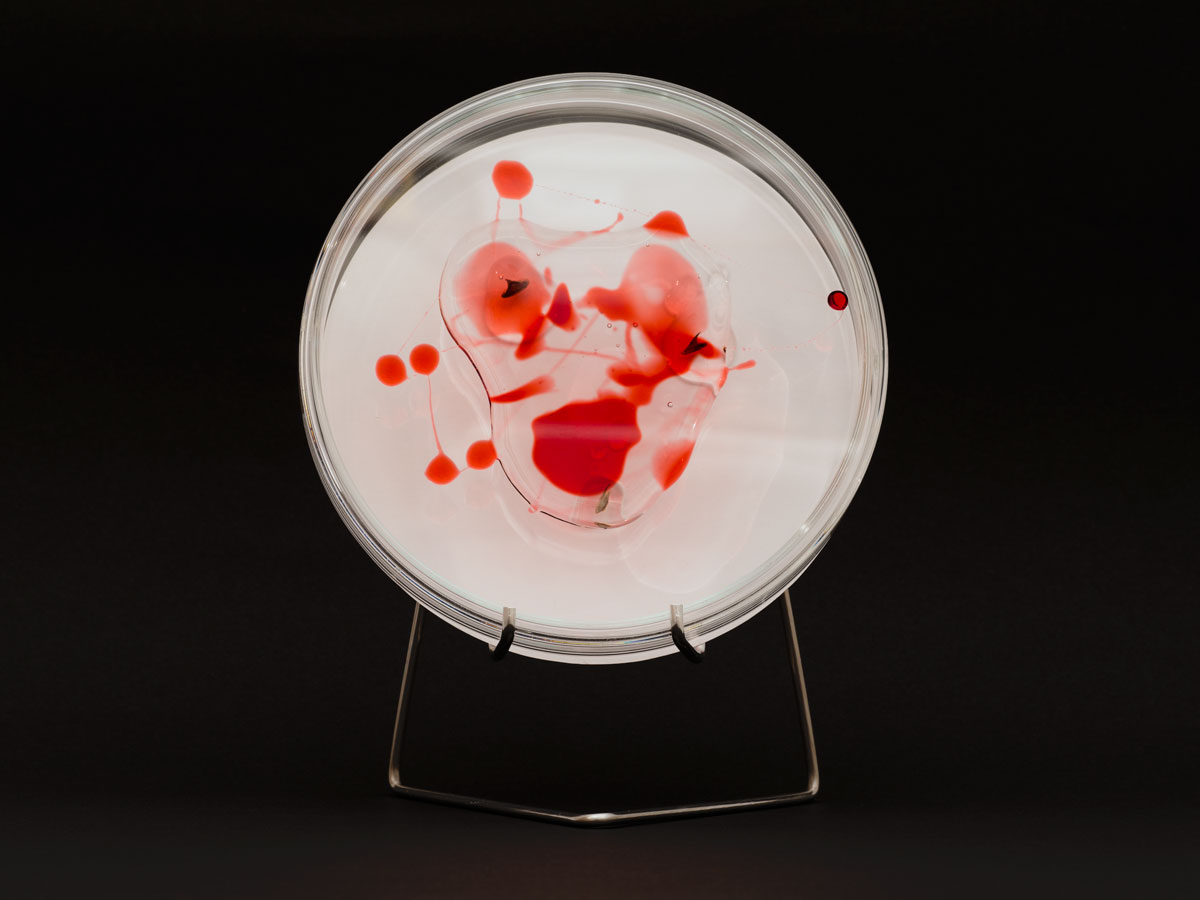 ANJA ASCHE - matter and light no.3, object art, glass petri dish