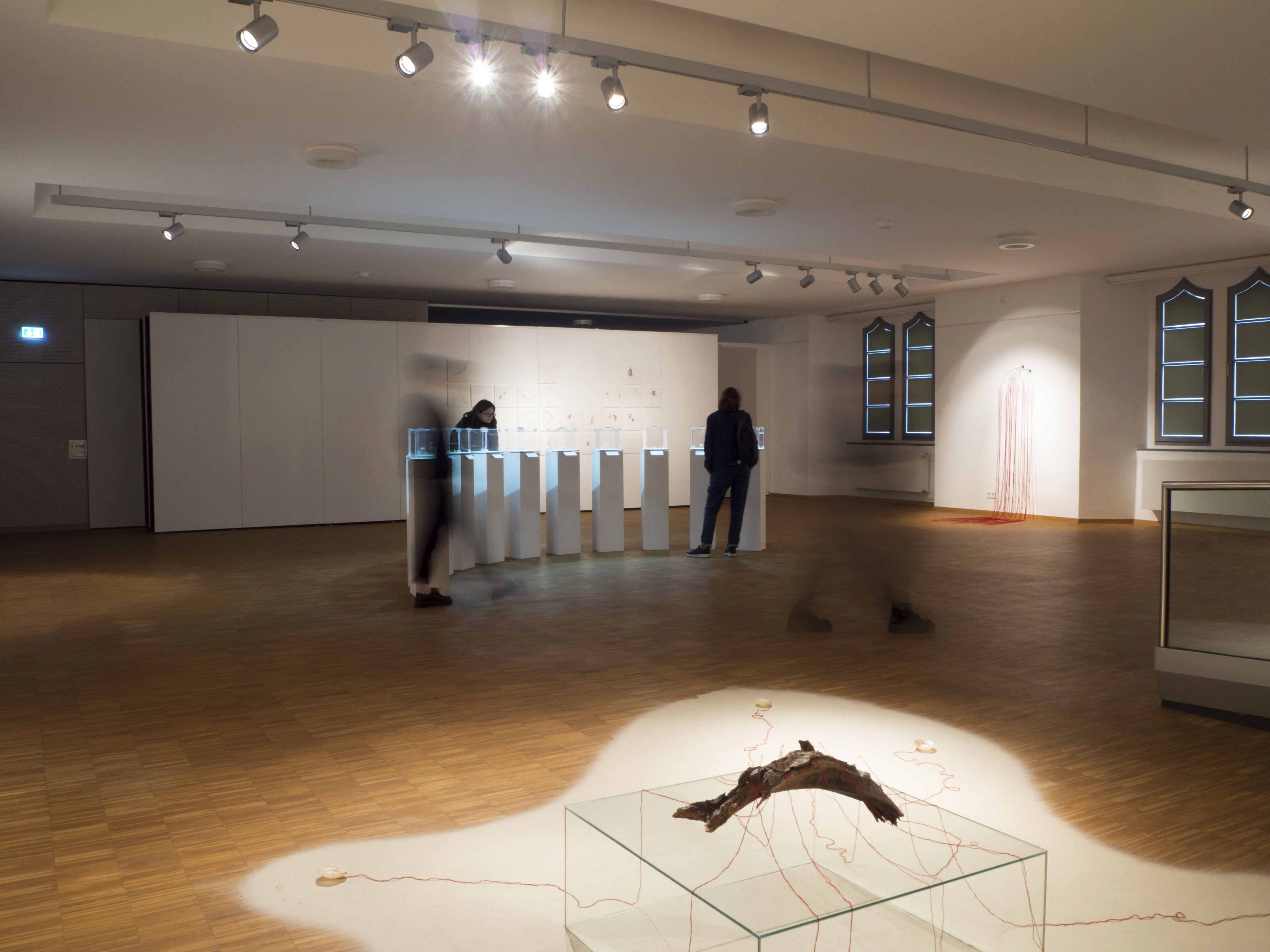 Installationen und Objekte von ANJA ASCHE, Ausstellungsansicht, Kunstgalerie Altes Rathaus Fürstenwalde/Spree, 2023