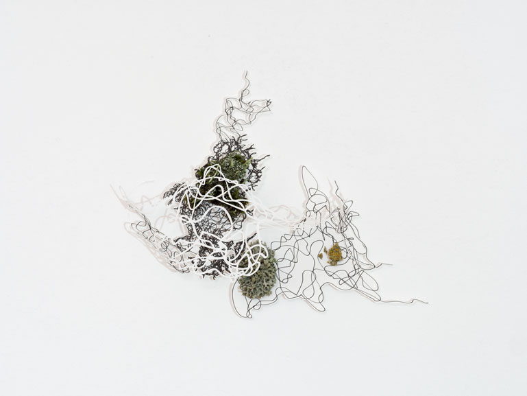 ANJA ASCHE – time capsules. Object series, objektart, wallobjects, Hanging objects, smale scale sculpture, paper, liches, moss, etc.