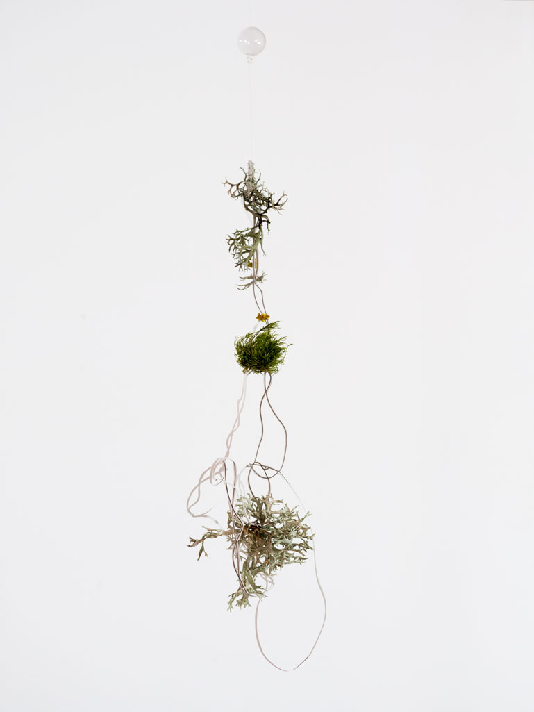ANJA ASCHE – time capsule No.4. Objektart, smale scale sculpture, hanging object, paper, fineliner, moss, lichen, glass beads