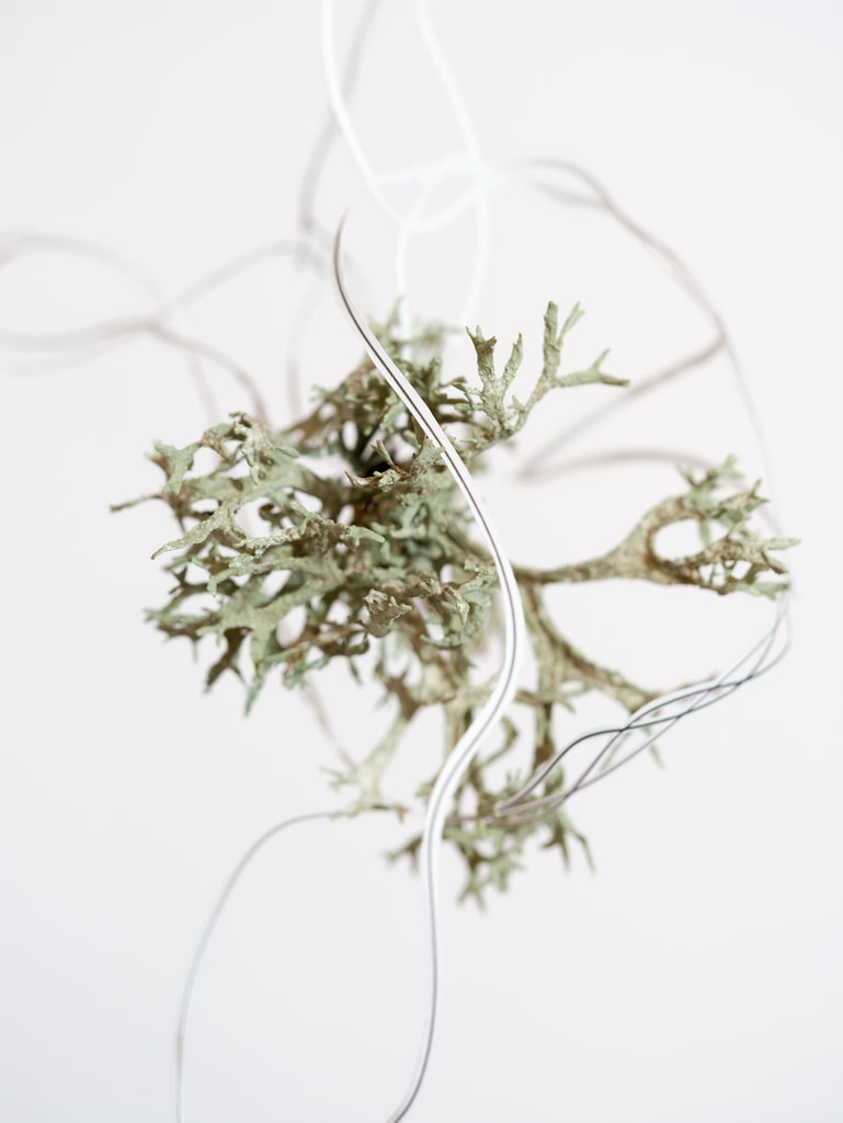 ANJA ASCHE – time capsule No.4, detail. Objektart, smale scale sculpture, hanging object, paper, fineliner, moss, lichen, glass beads.