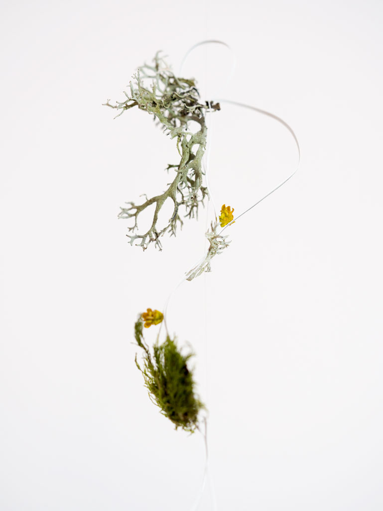 ANJA ASCHE – time capsule No.4, detail. Objektart, smale scale sculpture, hanging object, paper, fineliner, moss, lichen, glass beads.