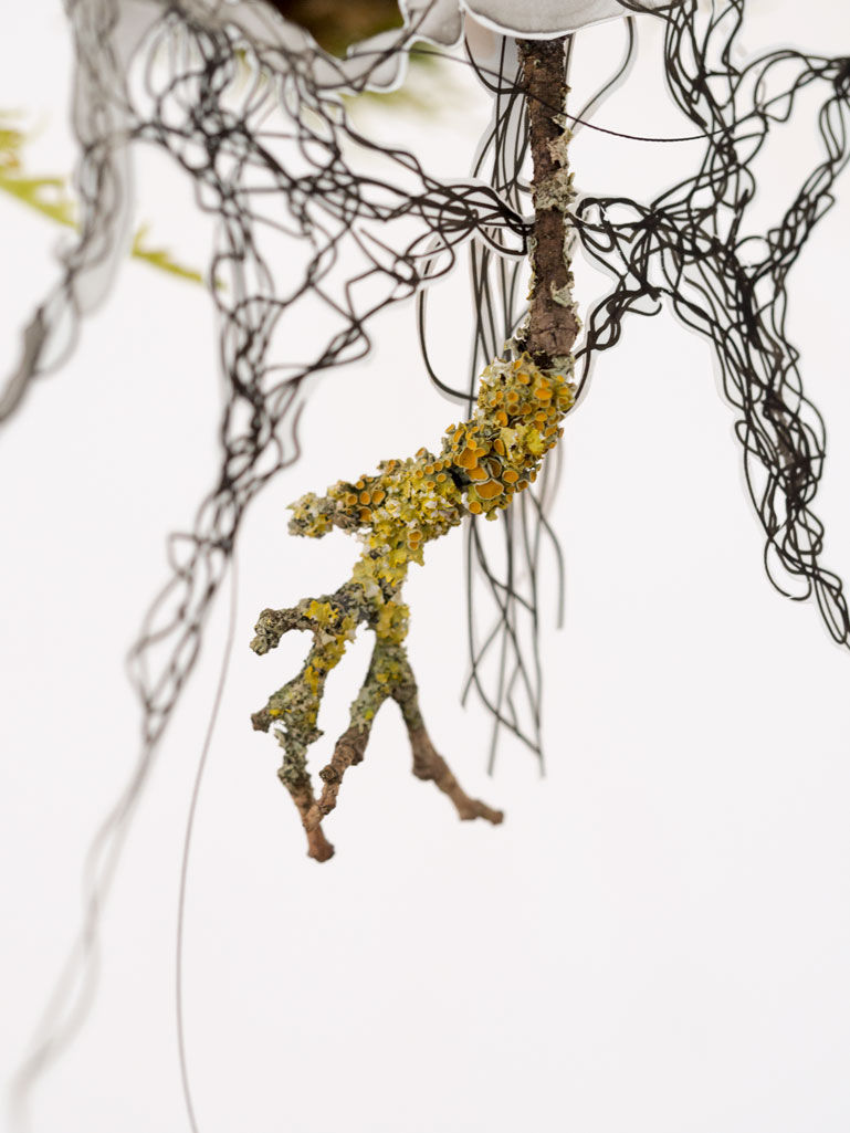 ANJA ASCHE – time capsule No.4, detail. Objektart, smale scale sculpture, hanging object, paper, fineliner, moss, lichen, yarn, branch, kappa.