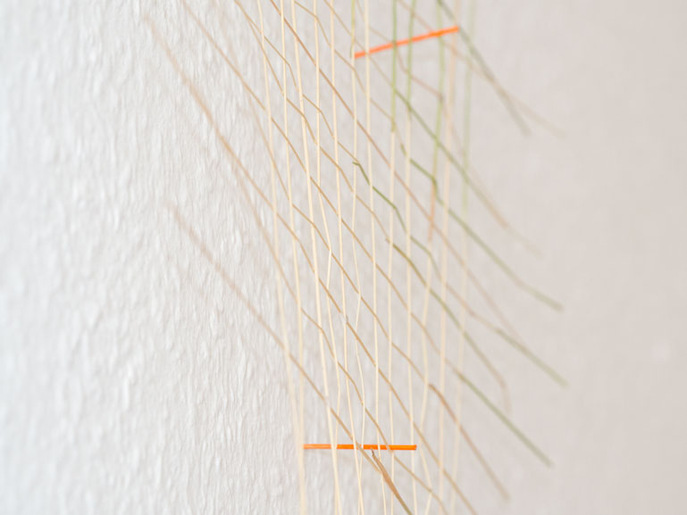 Anja Asche – fragil. Wand-Installation aus Pflanzenteilen