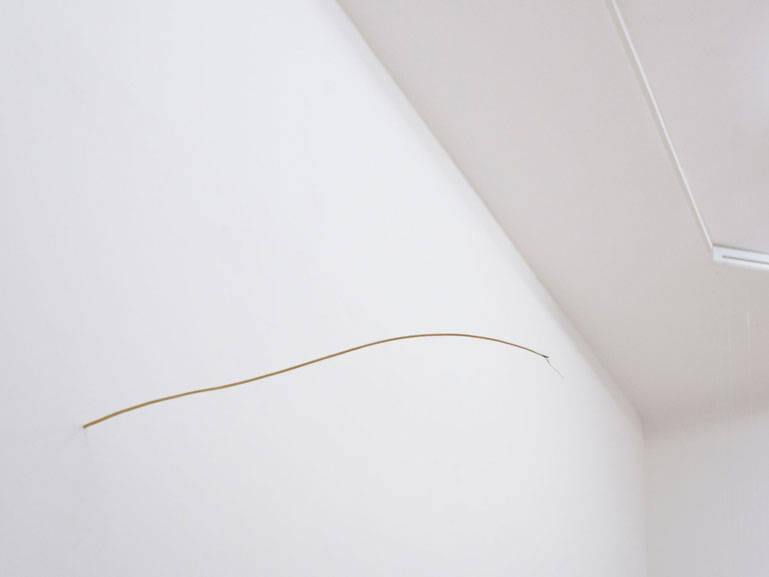 ANJA ASCHE, Basis, Wand-Installation,  Binsengras und Nagel, ca. 81x10x1cm, Ausstellungsansicht Galerie Lite-Haus, Berlin