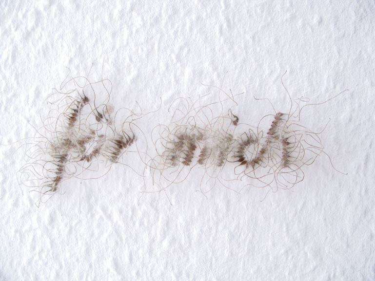 Anja Asche – fuer mich. Wand-Installation aus Pflanzensamen.